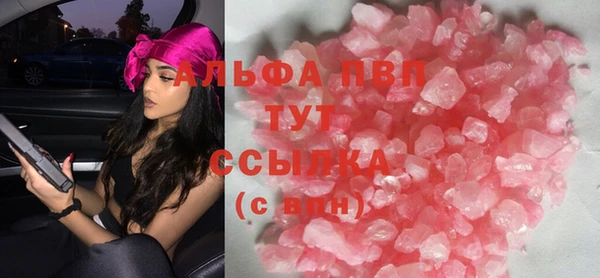 стаф Аркадак