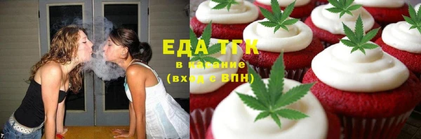 стаф Аркадак