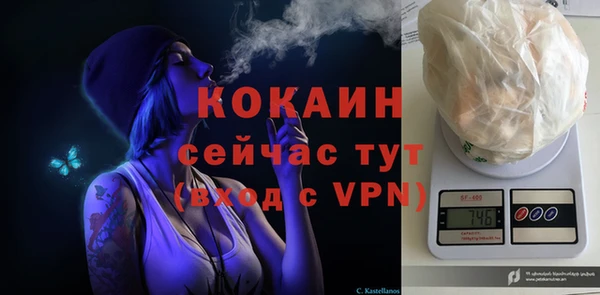 стаф Аркадак