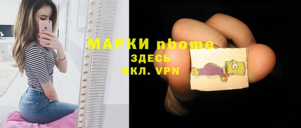 стаф Аркадак