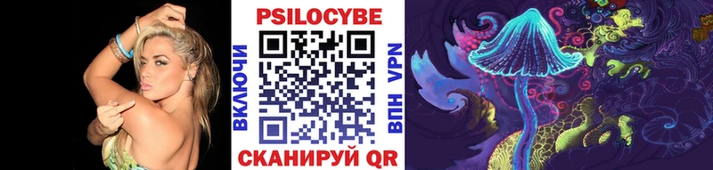 дарнет шоп  Калтан  Псилоцибиновые грибы Magic Shrooms 
